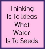 Thinking is to ideas what water is to seeds.