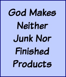 God makes neither junk nor finished products.